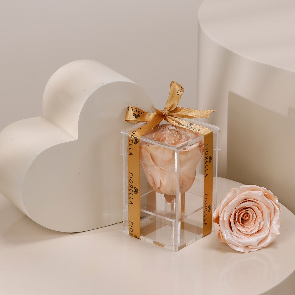  Valentine Forever One